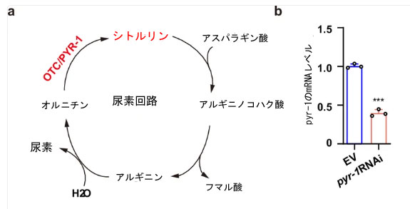 F2ab