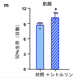 F1m