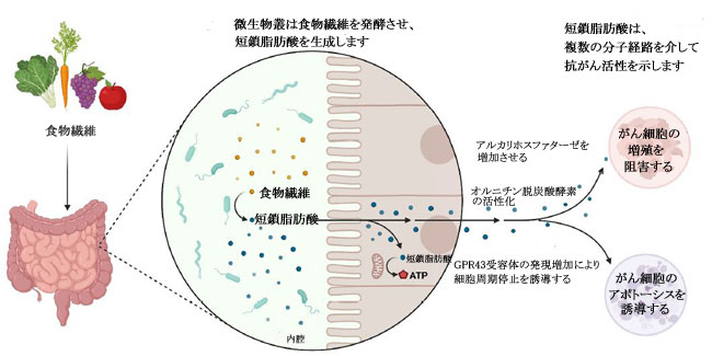 中垣技術士事務所公式サイト